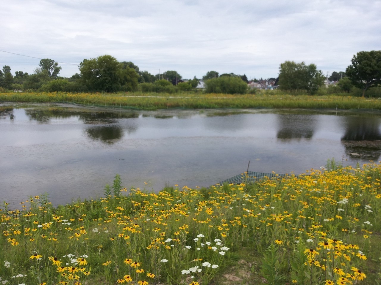 Public Works Stormwater Utility Two Rivers Wisconsin