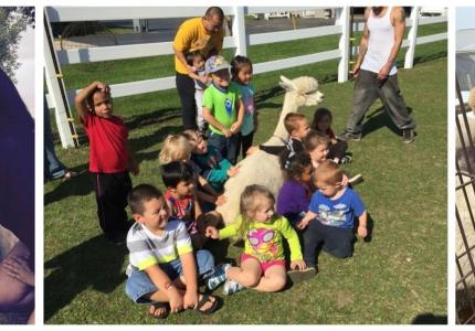 LondonDairy Alpaca Ranch