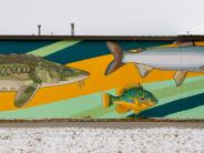 A panoramic photo of the South Breakwater Trail Mural depicting a variety of fish on a yellow and green background. 