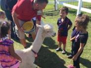 A man holding standing next to an alpaca while children crowd around