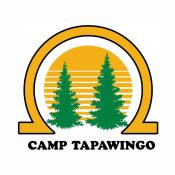 Two evergreen trees encircled by gold.