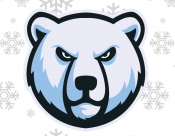 Tough-looking face of a polar bear.