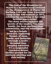 A synopsis of The God in the Woods.