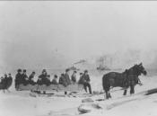 A black and white photo of a horse pulling several people through snow