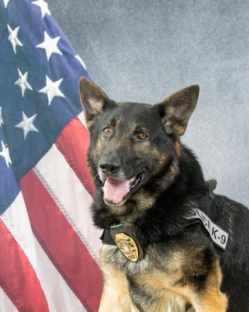 Portrait of Xanti sitting in front of an American flag