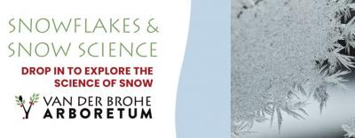 Microscopic images of snowflakes.