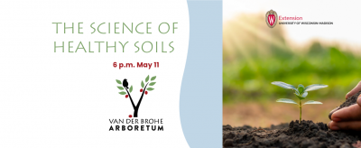 A tiny plant emerging from the soil.