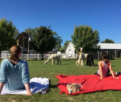 Two women sitting on blankets watching alpacas graze in the distance.
