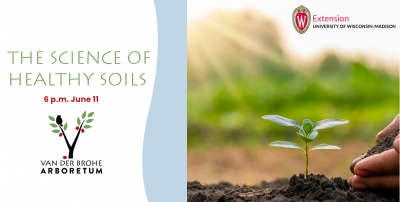 A tiny plant emerging from the soil.