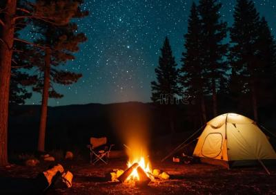 A tent and campfire amidst a forest and with a beautiful starry night.