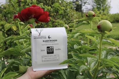 A bag of Barnwood coffee in front of a peony bush.