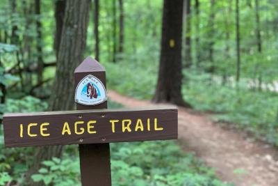 Wooden trail sign along forested path.