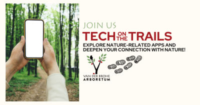 A phone being held up and aimed at a forest path ahead.