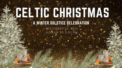 A lovely winter night sky.