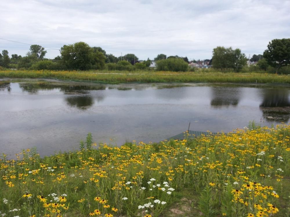 Public Works Stormwater Utility Two Rivers Wisconsin