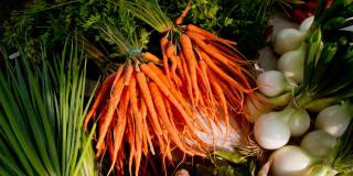 Collection of carrots and various vegetables on a table