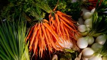 Collection of carrots and various vegetables on a table