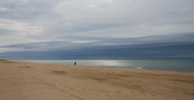 Photo of birds and two people on a sandy beach on Lake Michigan on an overcast day