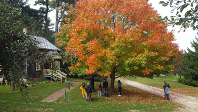 An autumn afternoon at Pinecrest Village w/historic home and tree with fall leaves.